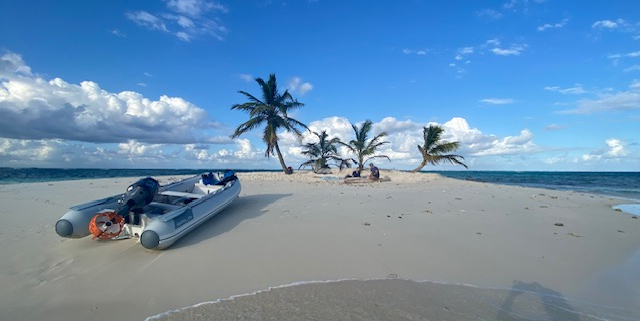 desset island